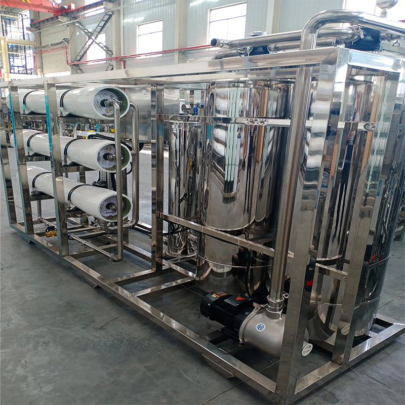 0.2-0.4MPa Pure Mineral Drinking Water Reverse Osmosis System for Water Treatment