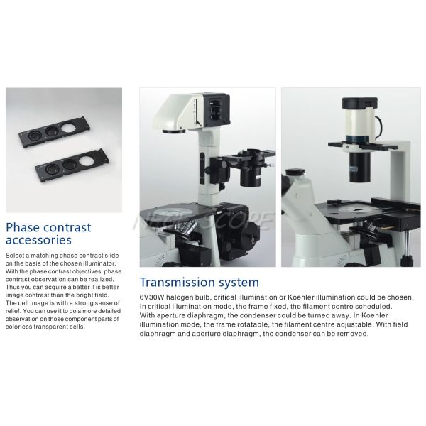 PL10X22mm Eyepiece Laboratory Biological Microscope 6V 30W Halogen NCQ - 600