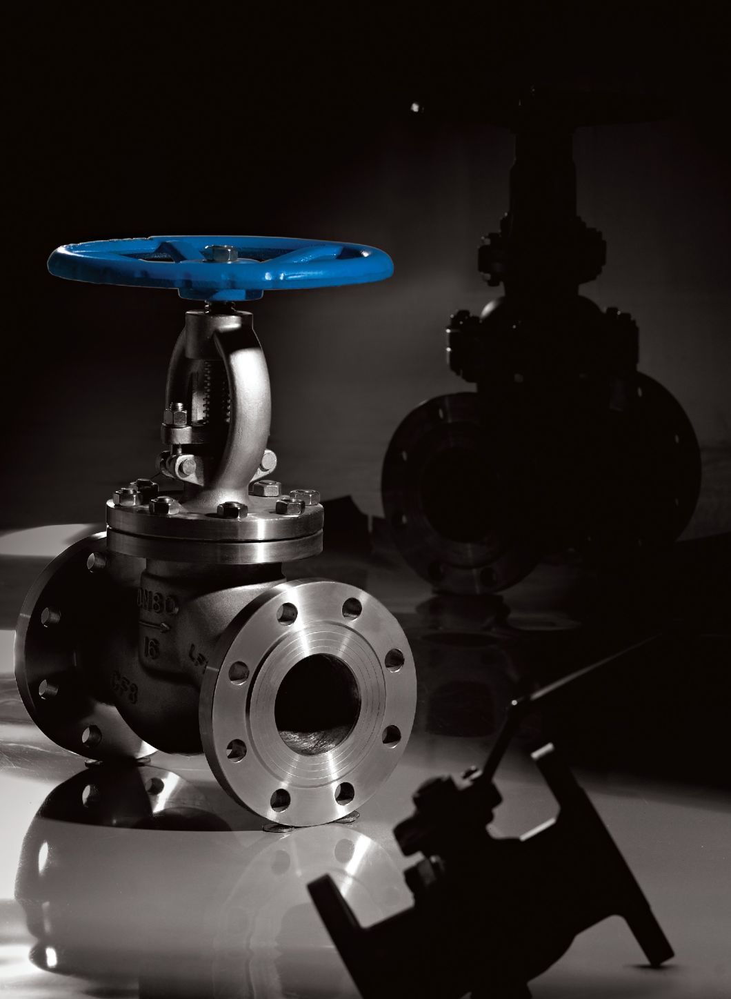 ANSI Stainless Steel Gate Valve (Z41H)