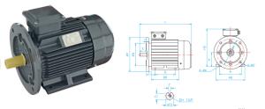 Three Phase Inverter Induction Motor YE2 Cast Iron Horizontal