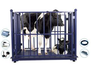 China Vet LED KELI Electronic Cattle Weighing Scales Bluetooth on sale