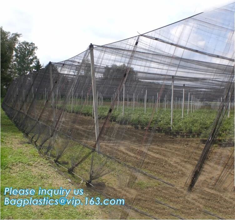 100% new HDPE insect mesh / anti bird net for apple trees,greenhouse anti insect net for plant, agriculture net Anti-ins