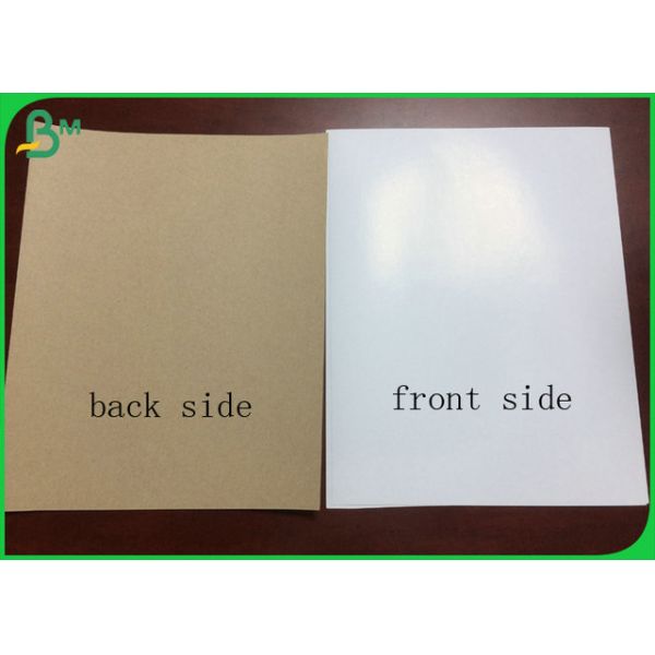 High tear strength  940 x 1280mm 400gsm Kraft Back Duplex Board For Beer Carton Making 