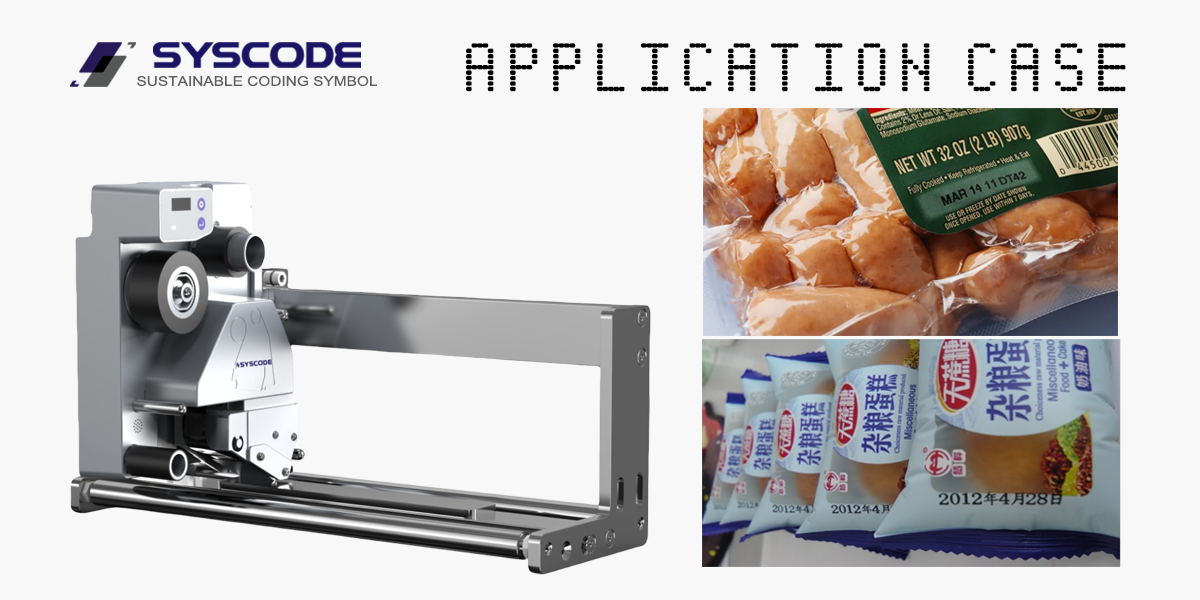 Bagged Batch Number Coding Machine 24x15mm Intermittent TTO Printer High Resolution