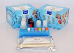 Azithromycin ELISA Analysis Veterinary Residue Test Kit High Recovery