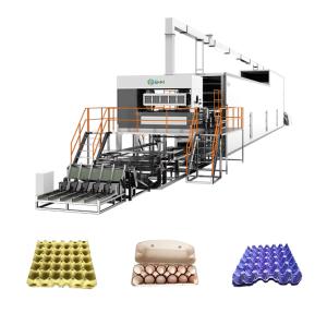 China Paper Pulp Egg Tray Maker Machine Fully Automatic 5000PCS/Hour wholesale