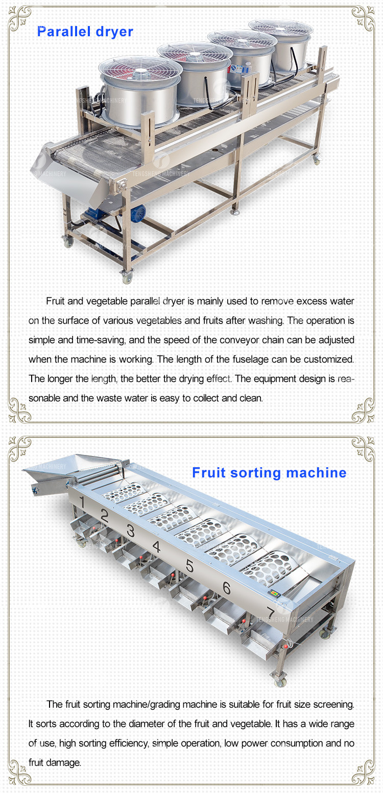 Silvery Personalization Passion Fruit And Vegetable Processing Line Fruit Cleansing Drying