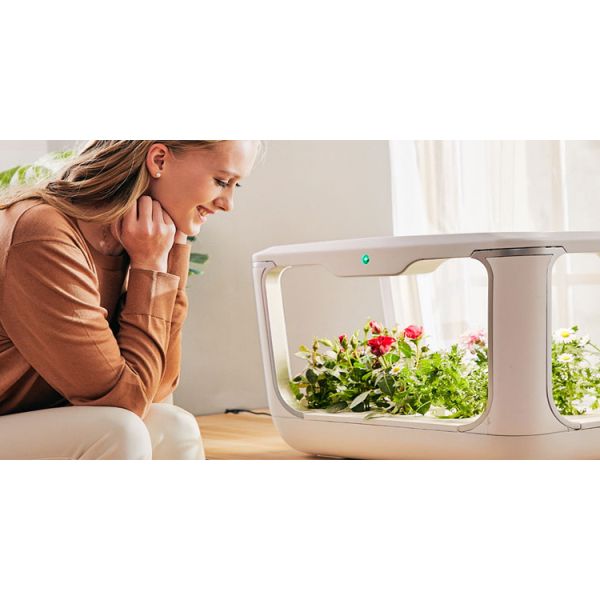 Vegetables Crops LED NFT Indoor Hydroponic Systems