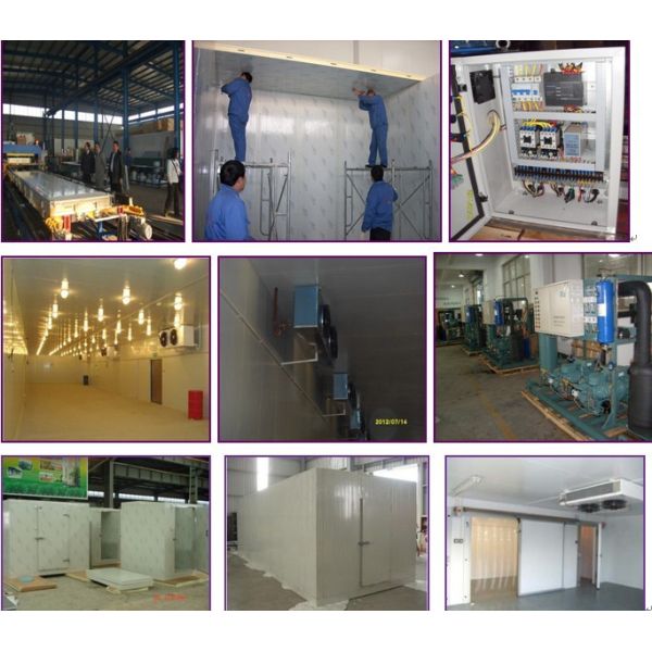 6m * 7m * 2.5m Cold Storage Chamber 105 Cubic Meter With Valley Wheel Compressor