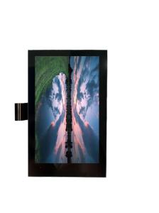 4 Inch TFT IPS Capacitive Touchscreen St7789 LCD Display 480x800 Full View