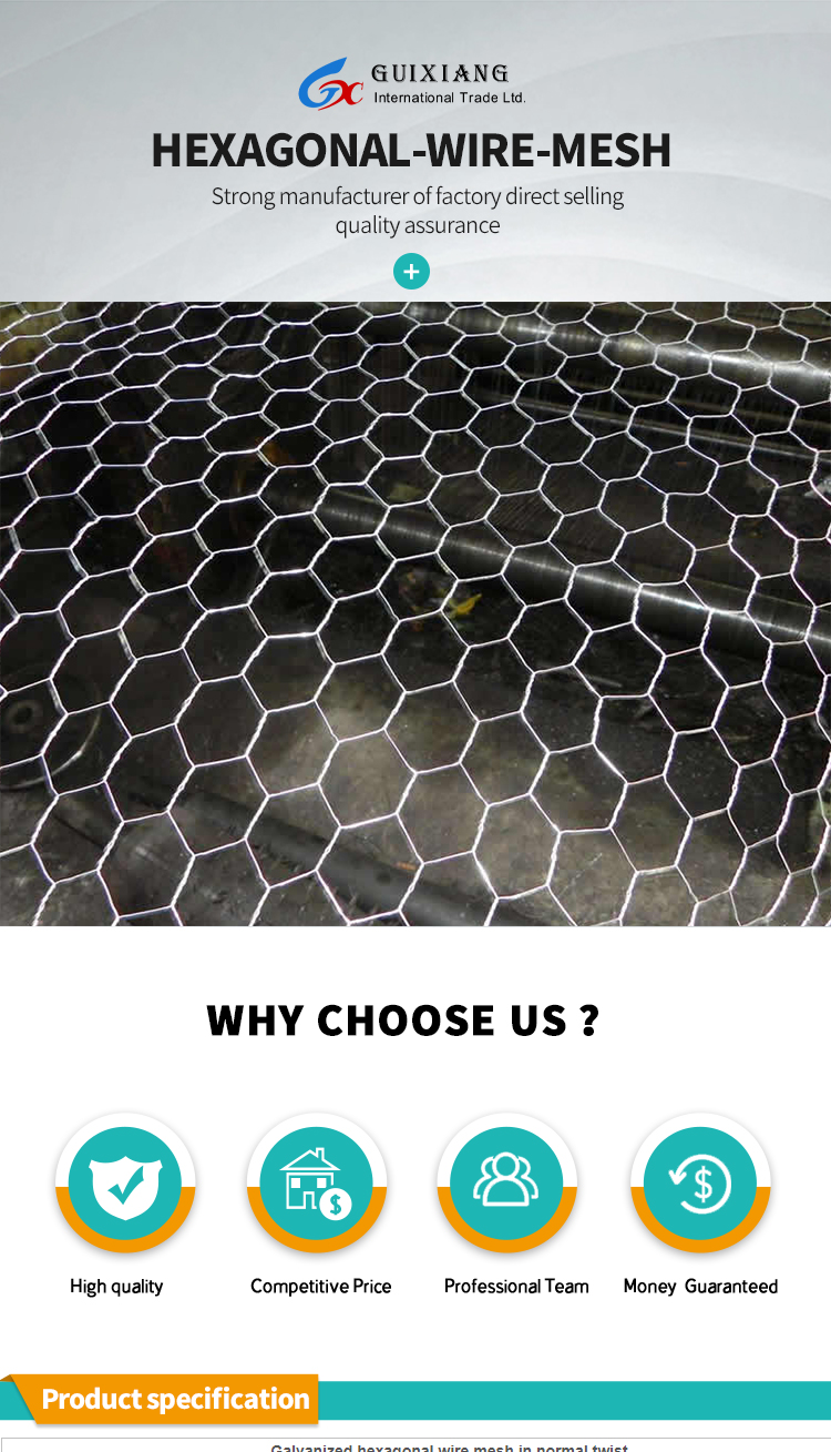 Factory Sale Various Diamond wire mesh hexagonal wire mesh for chicken and pets