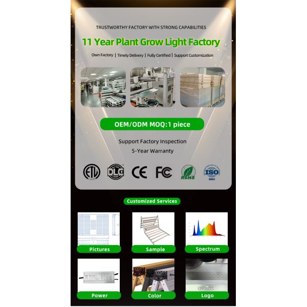 Commercial Greenhouse Grow Lights 800W Red And Blue Spectrum LED Grow Lights Hydroponics