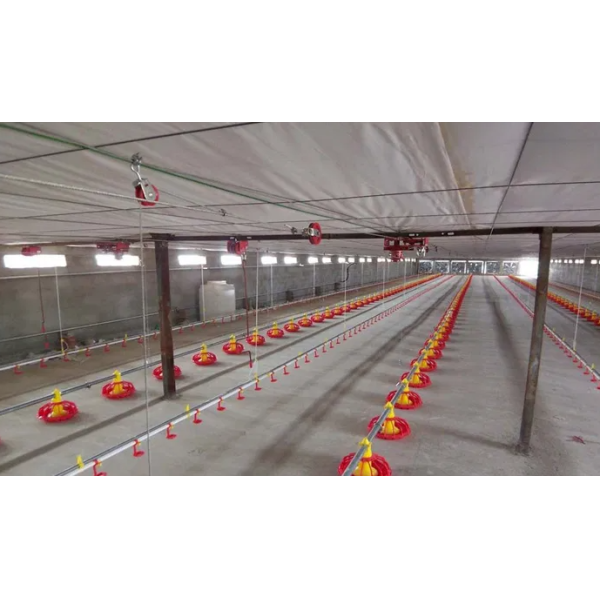 Broiler Farming Floor Raising System with Automatic Feeding Pans and Corrosion-Resistant Nipple Drinkers for Humidity Control