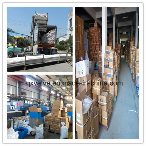 ASTM Pipe Fitting CPVC Brass Female Male Threaded Adapter Coupling