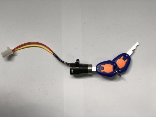 Quality Starting Key Switch Lock Electric Rickshaw Parts , E Rickshaw Accessories Colorful for sale