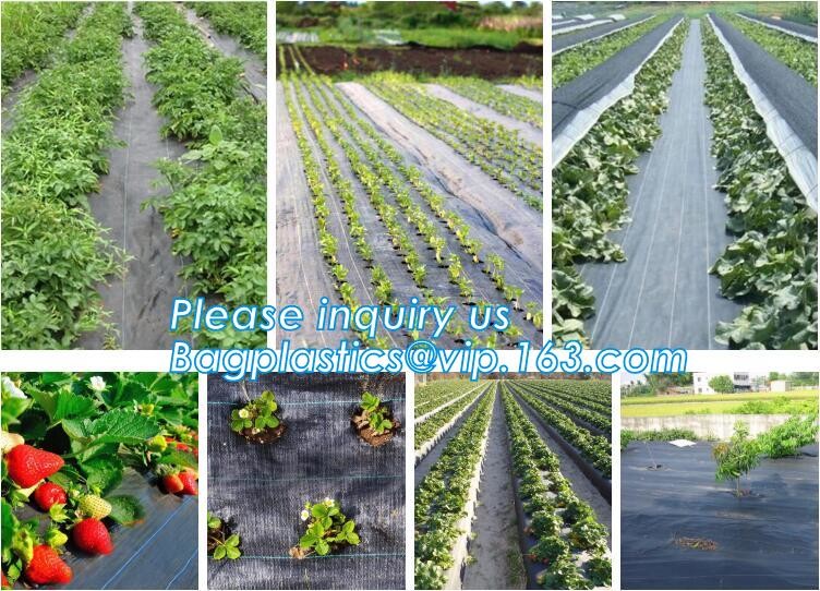 Garden Potato Planter Growing Bags PE Fabric Eco-friendly 7Gallon 10Gallon,potato planter with 7/10 gallon potato plante