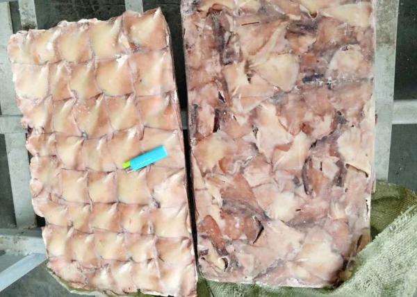 Frozen Illex Squid , Fins Argentina Squid Bqf Chinese Ocean Vessels