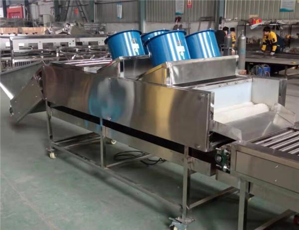 Quality apple orange lemon cleaning drying machine, potato washing drying machine for sale