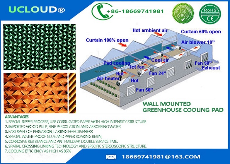 High efficient wet paper/cooling pad curtain water mist cooling system with SS steam