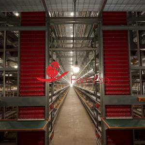 Precision-engineered Layer Chicken Cage System with Comfortable Living Environment