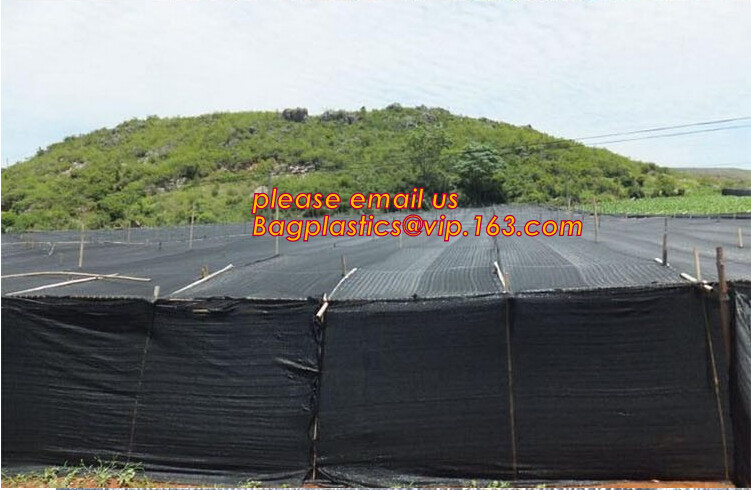 100% new HDPE insect mesh / anti bird net for apple trees,greenhouse anti insect net for plant, agriculture net Anti-ins