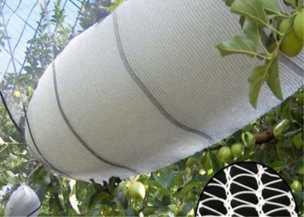 Quality OEM Hail Proof Greenhouse Agricultural Anti Hail Nets For Apple Trees for sale