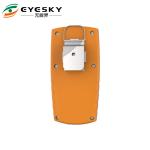 Personal multi gas detector with Diffusion sampling , quickly detect of the gas