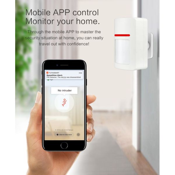 China Supplier Wifi Pir Detector Motion Sensor Work With Google Alexa