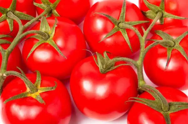 Quality High Capacity Fresh Tomato Puree Processing Line Customization for sale