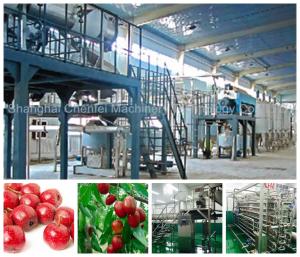 Automatic Beverage Processing Plant Machinery / Dates And Jujube Processing Line