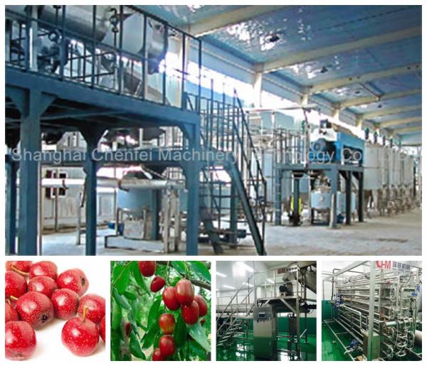 Quality Automatic Beverage Processing Plant Machinery / Dates And Jujube Processing Line for sale