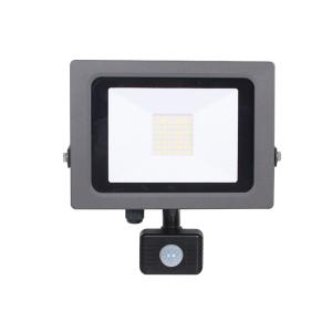 China 50W Pir Motion Sensor Floodlight Motion Sensor LED Light Ip65 on sale