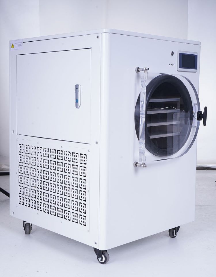 2022 new 100kg/200kg/300kg/400kg/500kg/1000kg per batch vacuum freeze dryer food freeze dryer