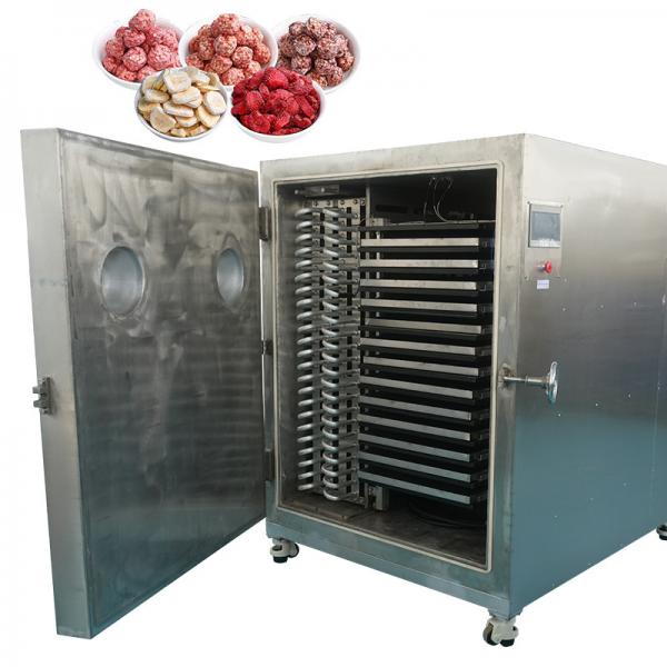 Air Cooled Food Vacuum Freeze Dryer with ≤10Pa Vacuum Degree