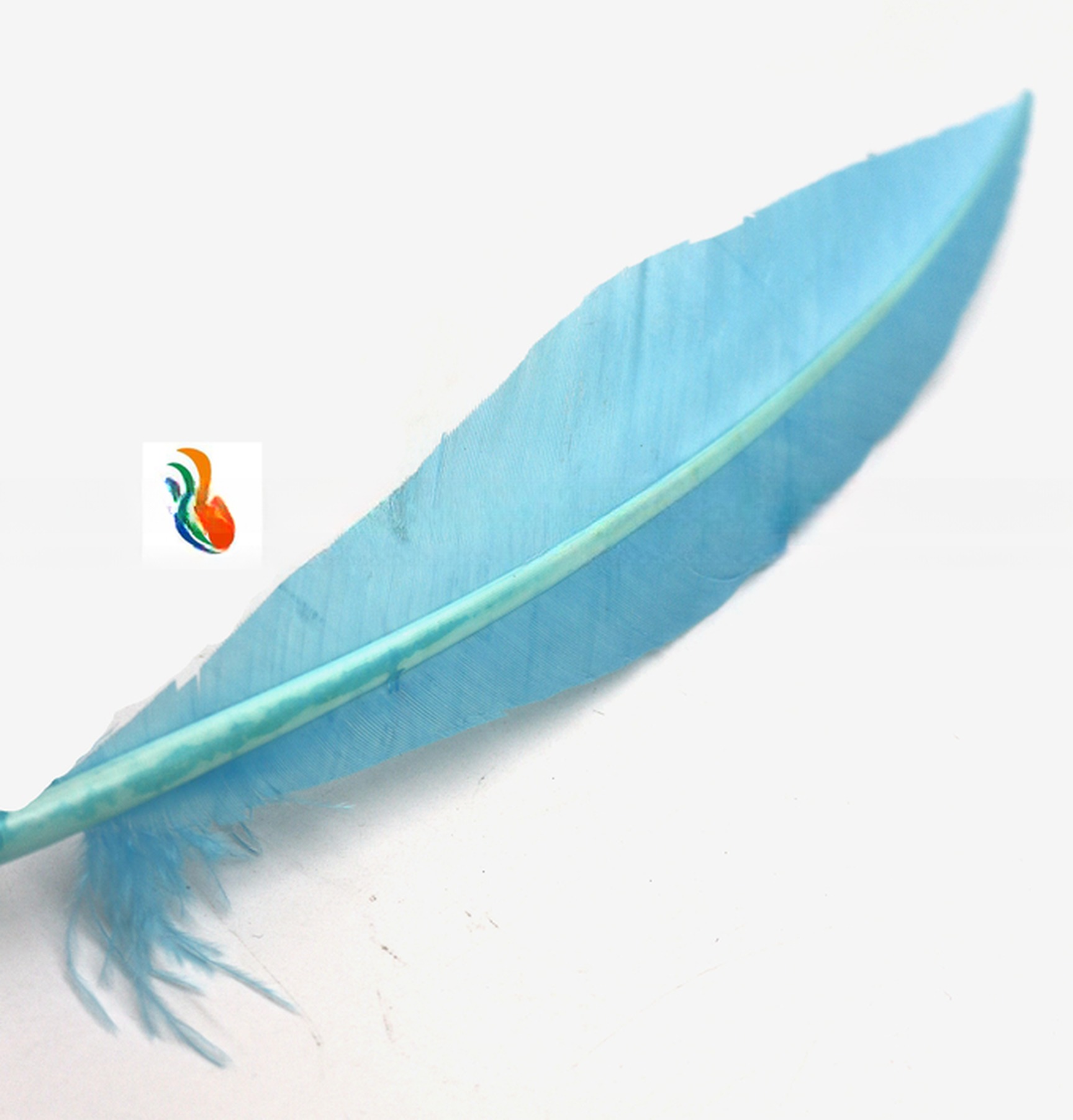25-30cm Stripped Colored Turkey Feathers Quill Dyed For Decorative