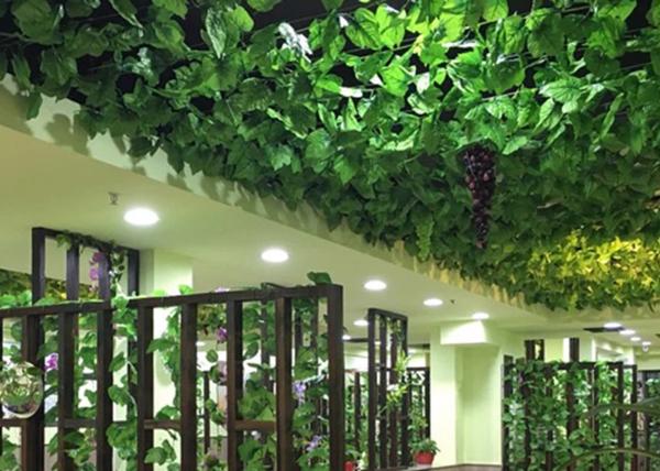 Quality Plastic Simulation Tree Vine for sale