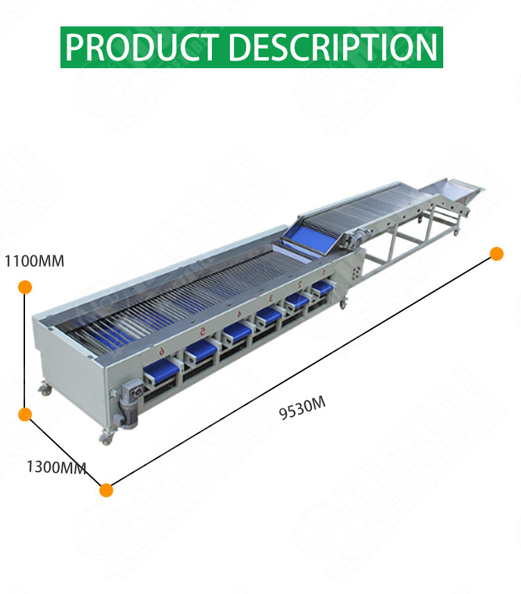 Carrot Onion Potato Grading Machine Fruit And Vegetable Sorting Machine