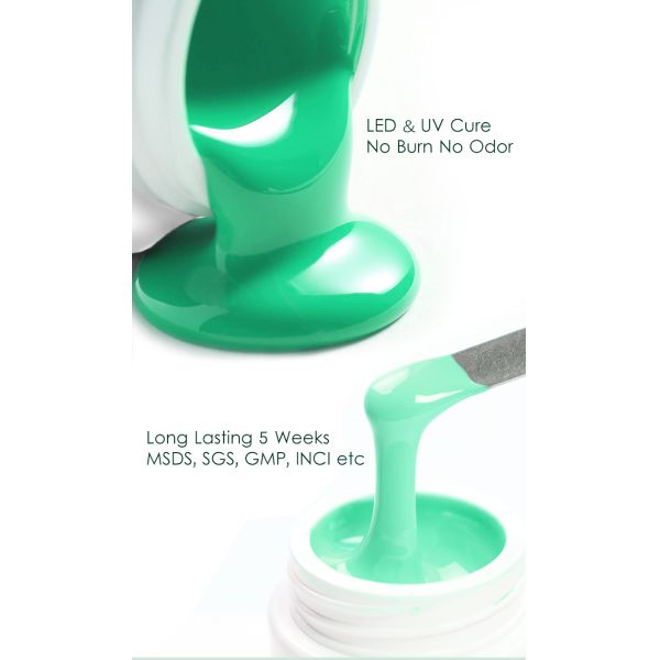 Professional Non-Toxic Gel Nail Polish for Salon Easy Soak Off Custom Glitter Painting and Arylic Material