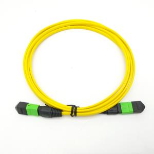 China SENKO 12 core MPO APC Singlemode OS2 mtp trunk cable Polarity A wholesale