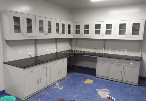 Customized Steel Lab Furniture , Laboratory Desk Furniture With Reagent Rack