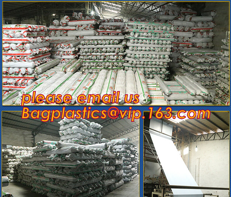 HOTICULTURAL MULCH FILM,AGRICULTURAL PE FILM,MARKET GARDENERS CLOCHE FILM,PE FILM FOR CORN,PLASTIC FILM COVER,TOMATO COV