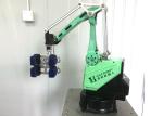 Hand Loading And Unloading Small Industrial Robot For Pack Machine
