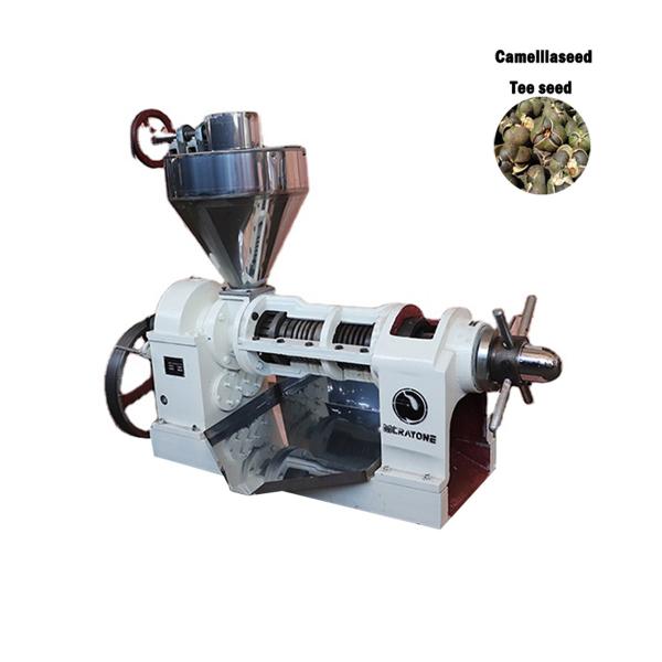 Quality Industrial Electric Oil Press Machine Powerful 1900*1000*1950mm for sale