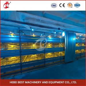 China Space Saving Automatic Broiler Cage System For 120-200 Chickens Rose wholesale