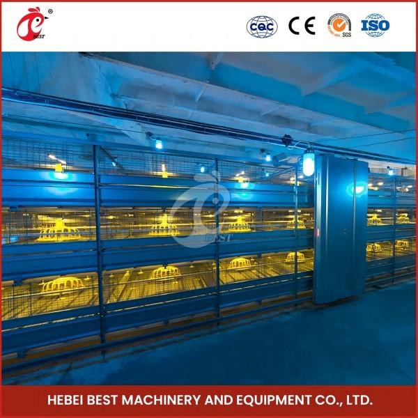 Quality Space Saving Automatic Broiler Cage System For 120-200 Chickens Rose for sale