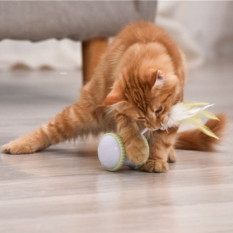Electronic Intelligent Cat Tumbler Toy With Feather