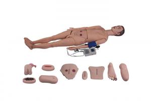 China Full Functional Human Body Anatomy Model With Blood Pressure Simulator on sale