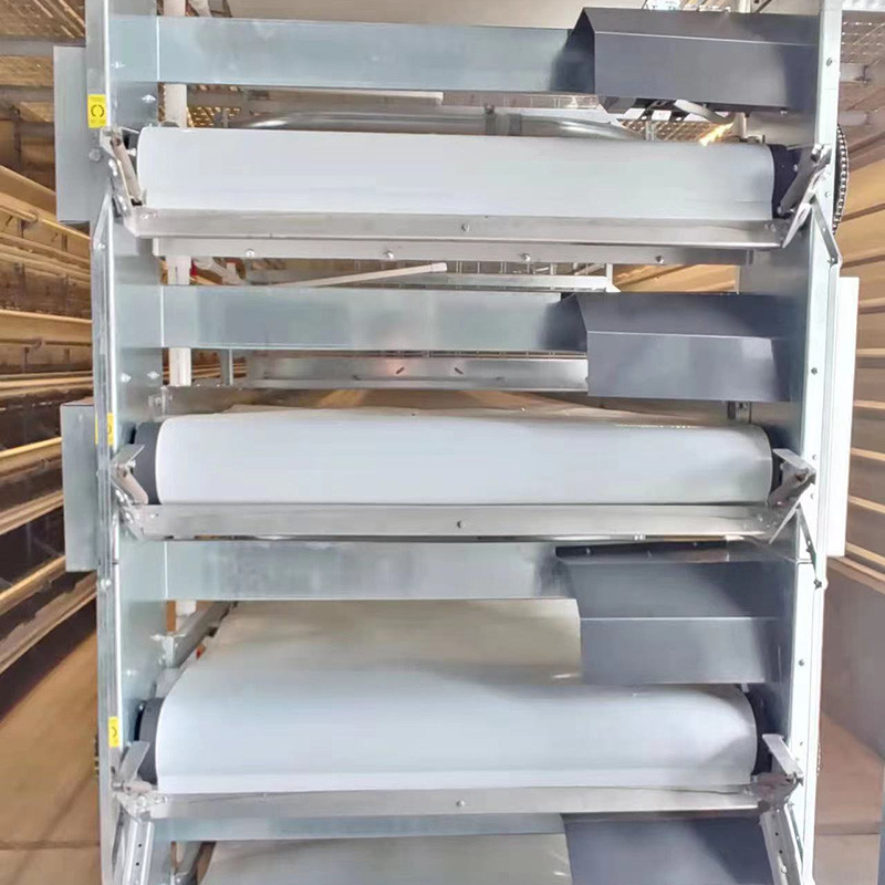 8 Degree Bottom Layer Chicken Cage Automated Battery Cage System Hi Hope