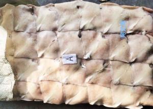 China Frozen Illex Squid , Fins Argentina Squid Bqf Chinese Ocean Vessels wholesale