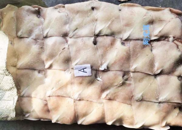 Quality Frozen Illex Squid , Fins Argentina Squid Bqf Chinese Ocean Vessels for sale